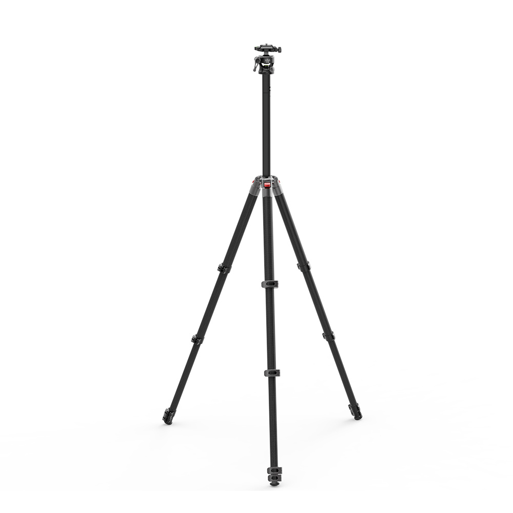G255C + S26 view 10