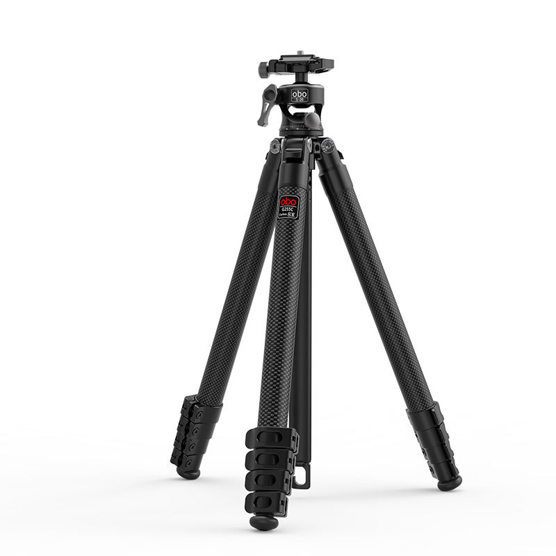 G255C + S26 view 11