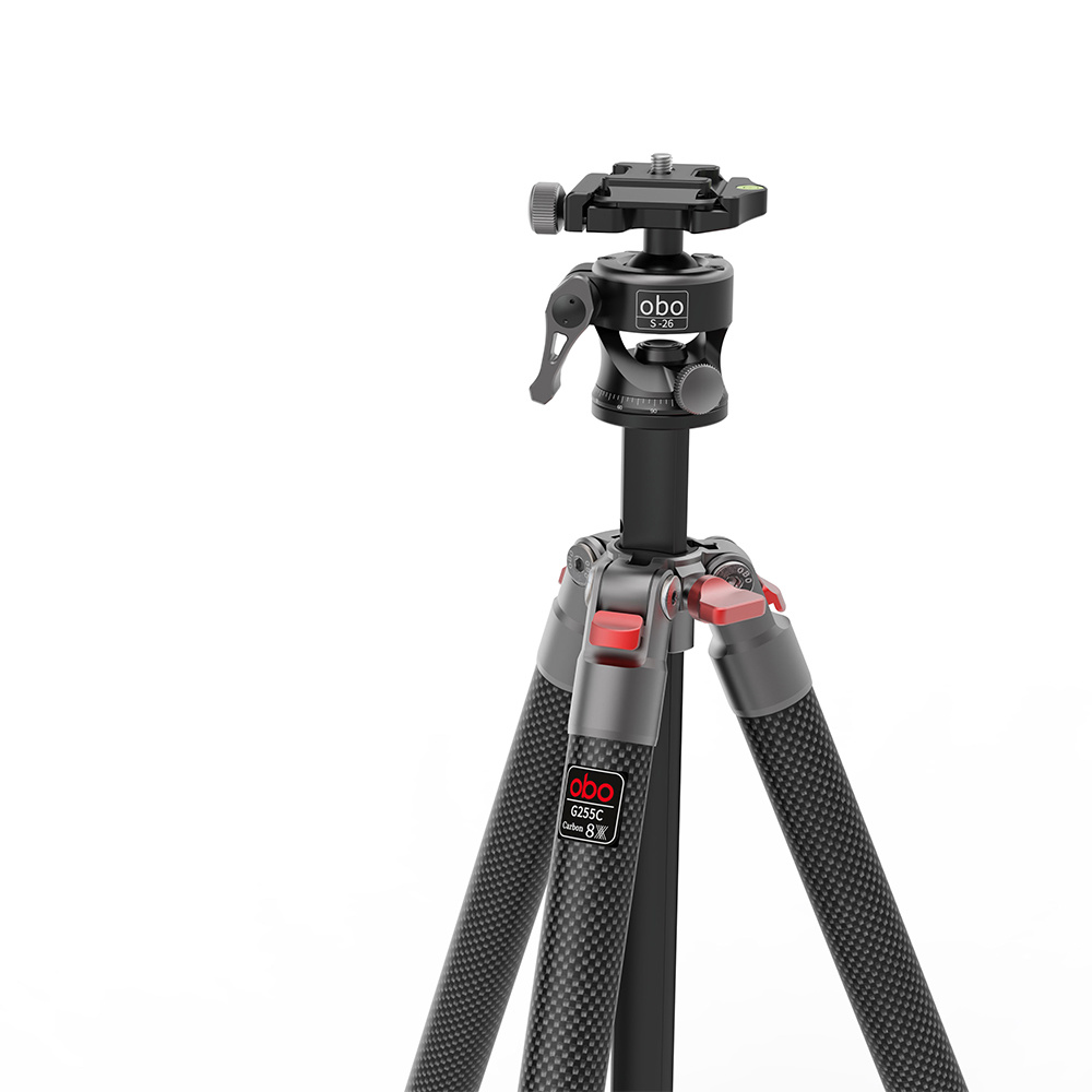 G255C + S26 view 13