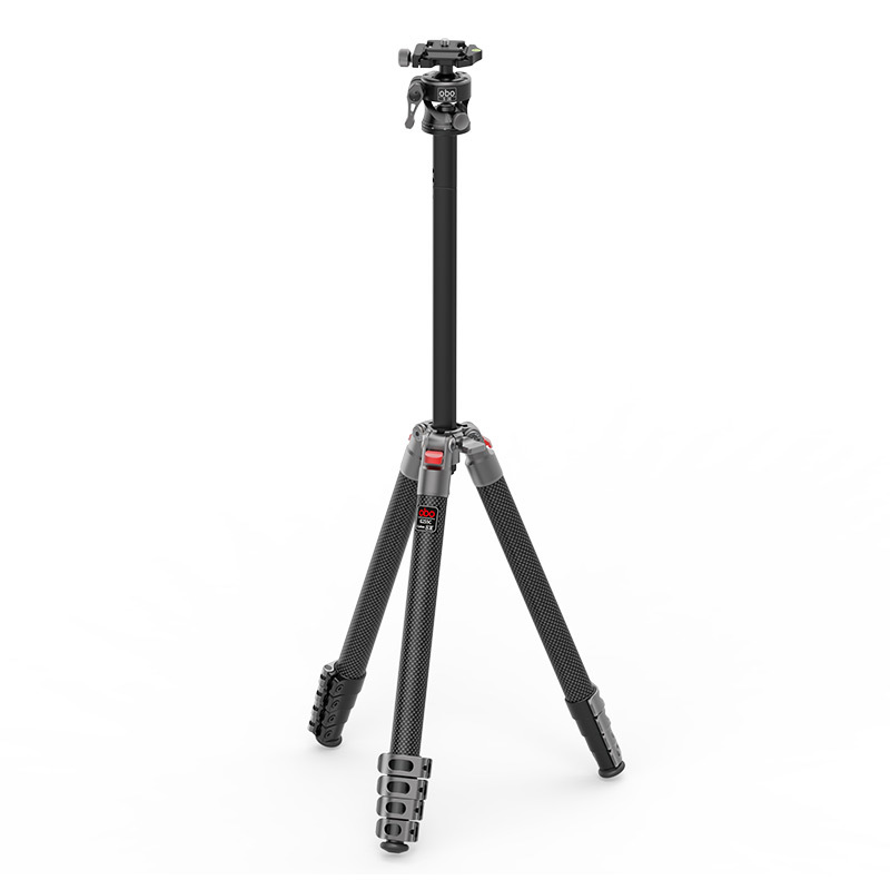 G255C + S26 view 3