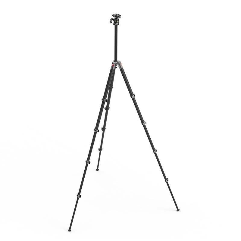 G255C + S26 view 4