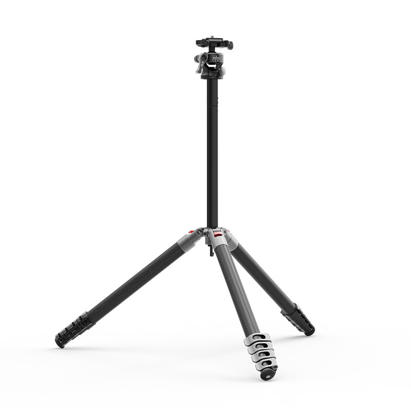 G255C + S26 view 5