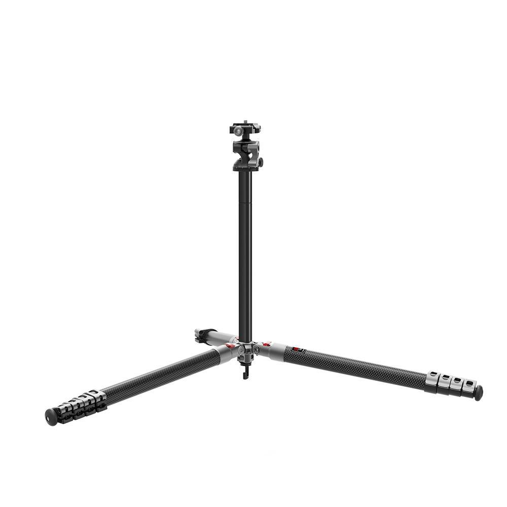 G255C + S26 view 8