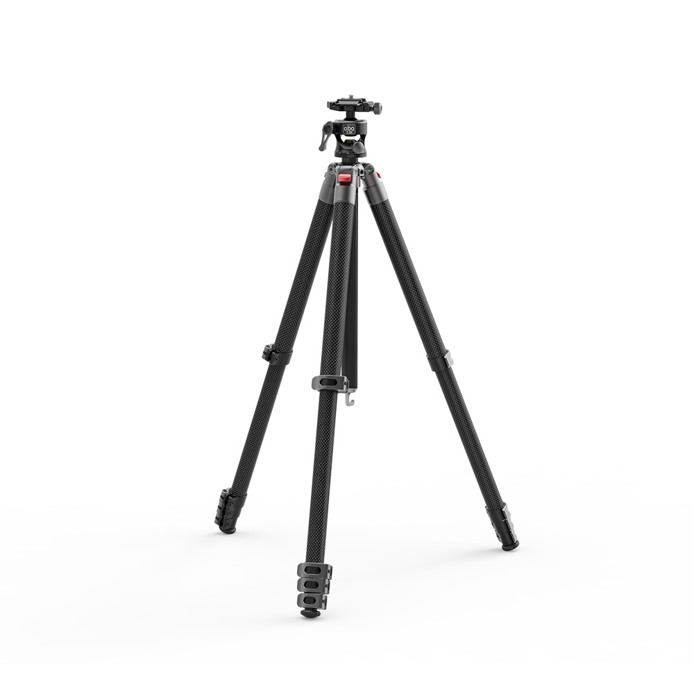 G255C + S26 view 9