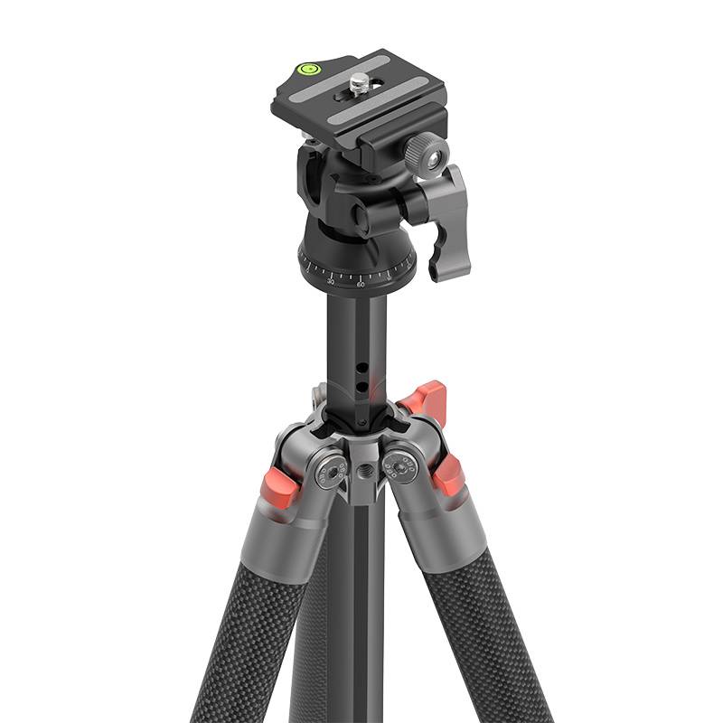 N255C / N255CL + S26 view 14